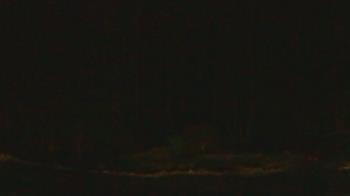 Weather camera view of John Dorr Nature Lab-Horace Mann School.