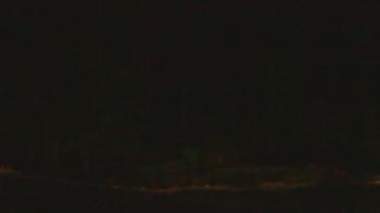 Weather camera view of John Dorr Nature Lab-Horace Mann School.