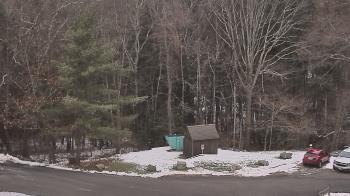 Weather camera view of John Dorr Nature Lab-Horace Mann School.
