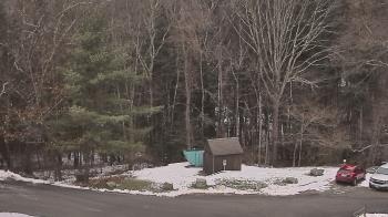 Weather camera view of John Dorr Nature Lab-Horace Mann School.