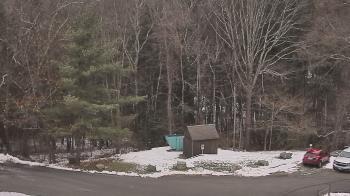 Weather camera view of John Dorr Nature Lab-Horace Mann School.