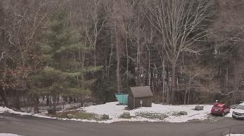 Weather camera view of John Dorr Nature Lab-Horace Mann School.