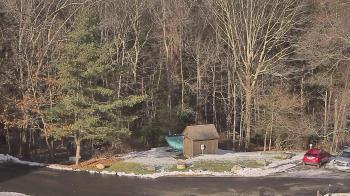 Weather camera view of John Dorr Nature Lab-Horace Mann School.