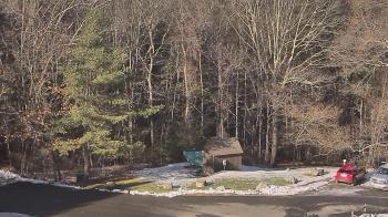 Weather camera view of John Dorr Nature Lab-Horace Mann School.