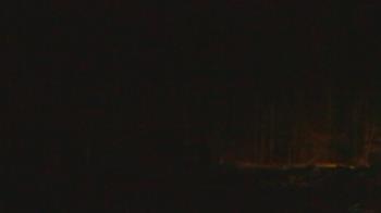 Weather camera view of John Dorr Nature Lab-Horace Mann School.