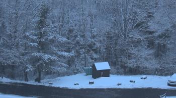 Weather camera view of John Dorr Nature Lab-Horace Mann School.