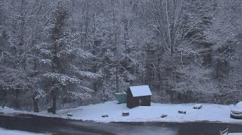 Weather camera view of John Dorr Nature Lab-Horace Mann School.
