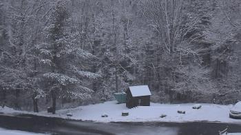 Weather camera view of John Dorr Nature Lab-Horace Mann School.