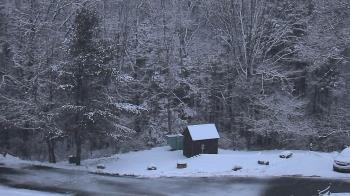 Weather camera view of John Dorr Nature Lab-Horace Mann School.