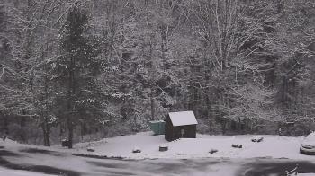 Weather camera view of John Dorr Nature Lab-Horace Mann School.