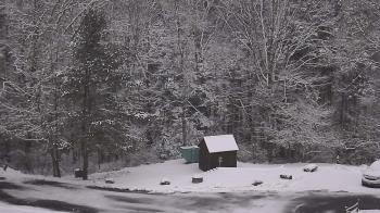 Weather camera view of John Dorr Nature Lab-Horace Mann School.