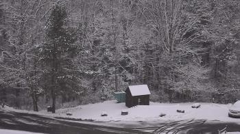 Weather camera view of John Dorr Nature Lab-Horace Mann School.