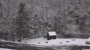 Weather camera view of John Dorr Nature Lab-Horace Mann School.