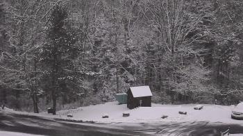 Weather camera view of John Dorr Nature Lab-Horace Mann School.