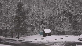 Weather camera view of John Dorr Nature Lab-Horace Mann School.