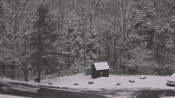 Weather camera view of John Dorr Nature Lab-Horace Mann School.