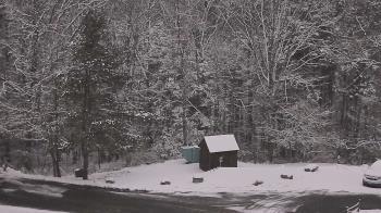 Weather camera view of John Dorr Nature Lab-Horace Mann School.