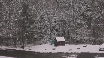 Weather camera view of John Dorr Nature Lab-Horace Mann School.