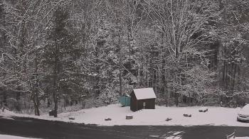 Weather camera view of John Dorr Nature Lab-Horace Mann School.