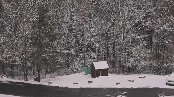 Weather camera view of John Dorr Nature Lab-Horace Mann School.