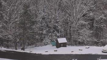 Weather camera view of John Dorr Nature Lab-Horace Mann School.