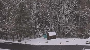 Weather camera view of John Dorr Nature Lab-Horace Mann School.