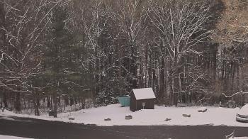 Weather camera view of John Dorr Nature Lab-Horace Mann School.