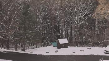 Weather camera view of John Dorr Nature Lab-Horace Mann School.
