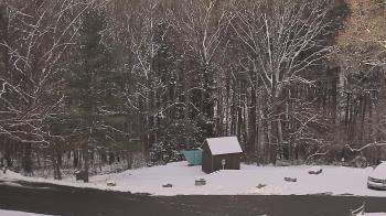 Weather camera view of John Dorr Nature Lab-Horace Mann School.