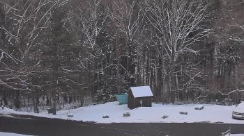 Weather camera view of John Dorr Nature Lab-Horace Mann School.