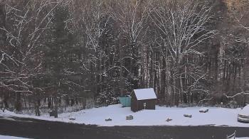 Weather camera view of John Dorr Nature Lab-Horace Mann School.