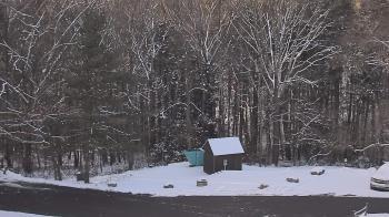 Weather camera view of John Dorr Nature Lab-Horace Mann School.