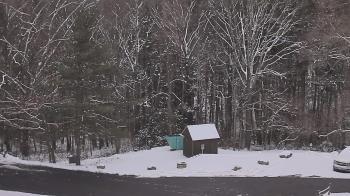 Weather camera view of John Dorr Nature Lab-Horace Mann School.