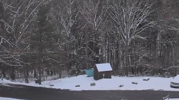 Weather camera view of John Dorr Nature Lab-Horace Mann School.