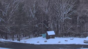 Weather camera view of John Dorr Nature Lab-Horace Mann School.