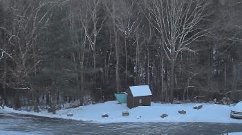 Weather camera view of John Dorr Nature Lab-Horace Mann School.