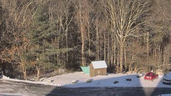 Weather camera view of John Dorr Nature Lab-Horace Mann School.