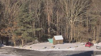 Weather camera view of John Dorr Nature Lab-Horace Mann School.