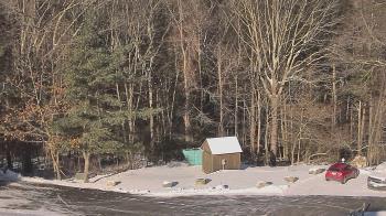 Weather camera view of John Dorr Nature Lab-Horace Mann School.