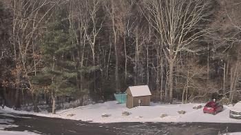 Weather camera view of John Dorr Nature Lab-Horace Mann School.