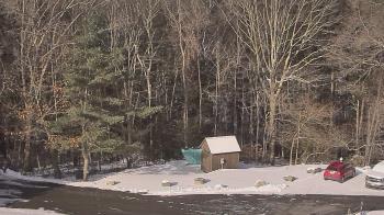 Weather camera view of John Dorr Nature Lab-Horace Mann School.