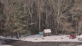 Weather camera view of John Dorr Nature Lab-Horace Mann School.