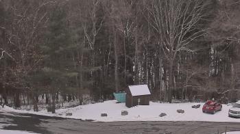 Weather camera view of John Dorr Nature Lab-Horace Mann School.