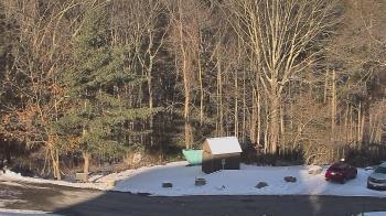 Weather camera view of John Dorr Nature Lab-Horace Mann School.