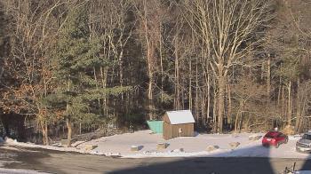 Weather camera view of John Dorr Nature Lab-Horace Mann School.