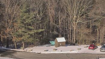 Weather camera view of John Dorr Nature Lab-Horace Mann School.