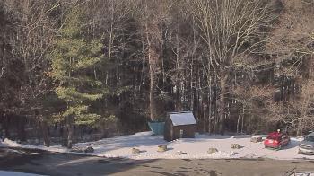 Weather camera view of John Dorr Nature Lab-Horace Mann School.