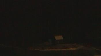 Weather camera view of John Dorr Nature Lab-Horace Mann School.