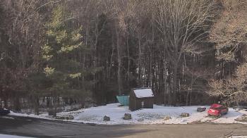Weather camera view of John Dorr Nature Lab-Horace Mann School.