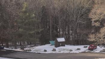 Weather camera view of John Dorr Nature Lab-Horace Mann School.